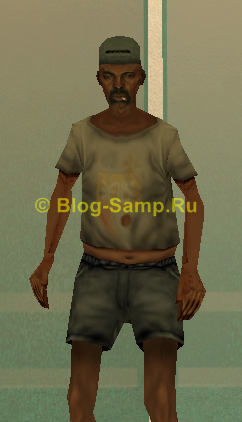 Id 134 скина SAMP