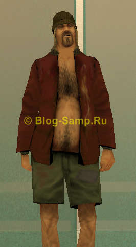 Id 135 скина SAMP