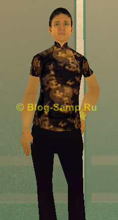 Id 224 скина SAMP