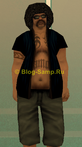 Id 241 скина SAMP