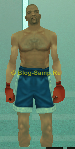 Id 81 скина SAMP